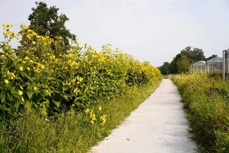 Fietsen en wandelen-image