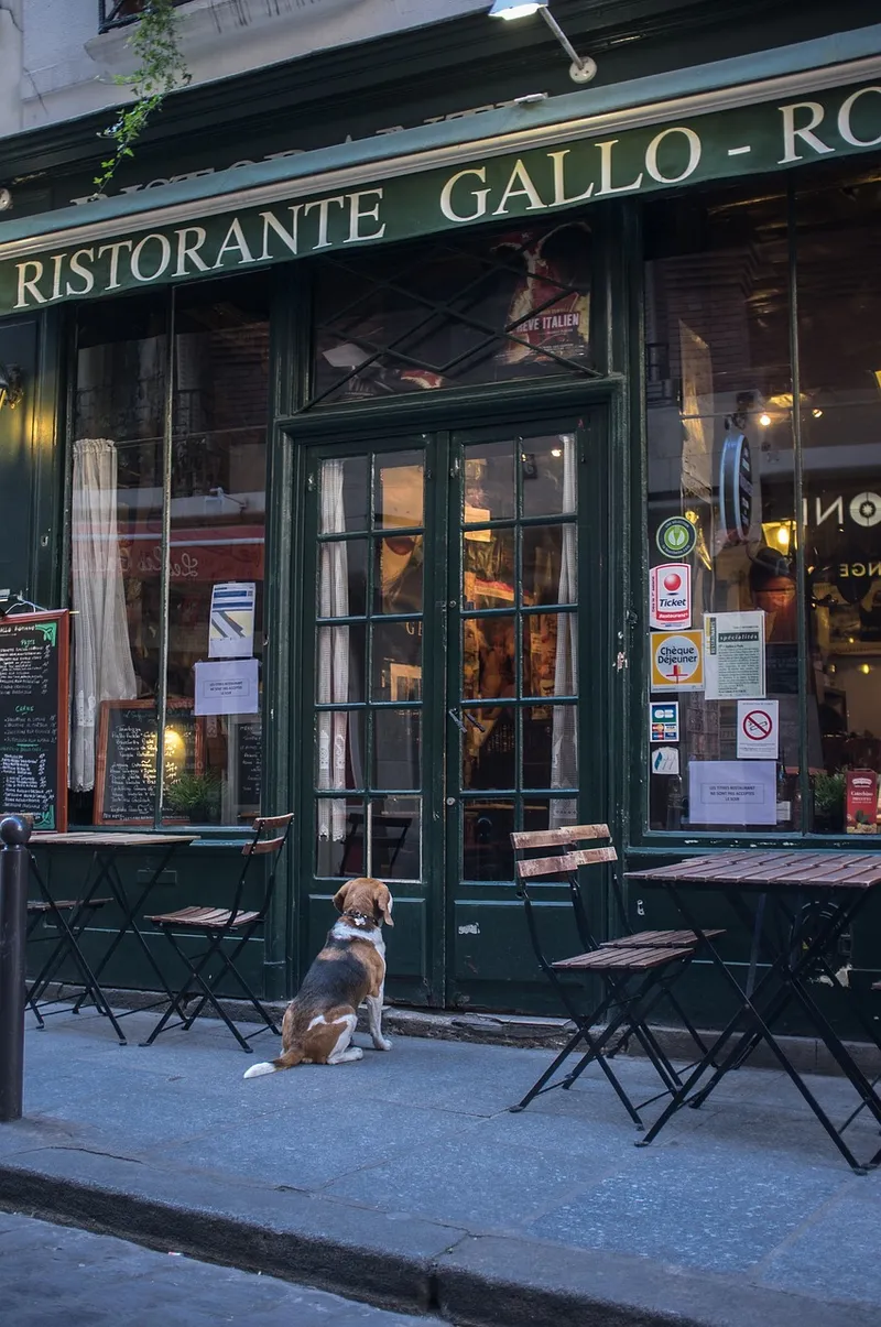 Amsterdam-image
