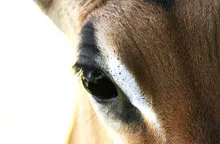 Regels en voorschriften-image