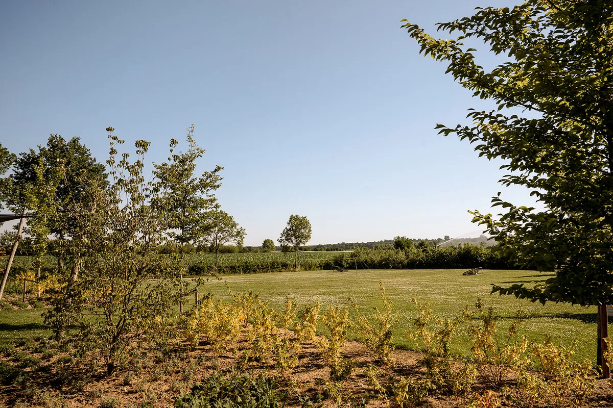  Aankomst & vertrek-image