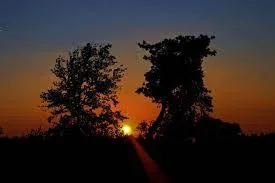 Algemene regels verhuur-image