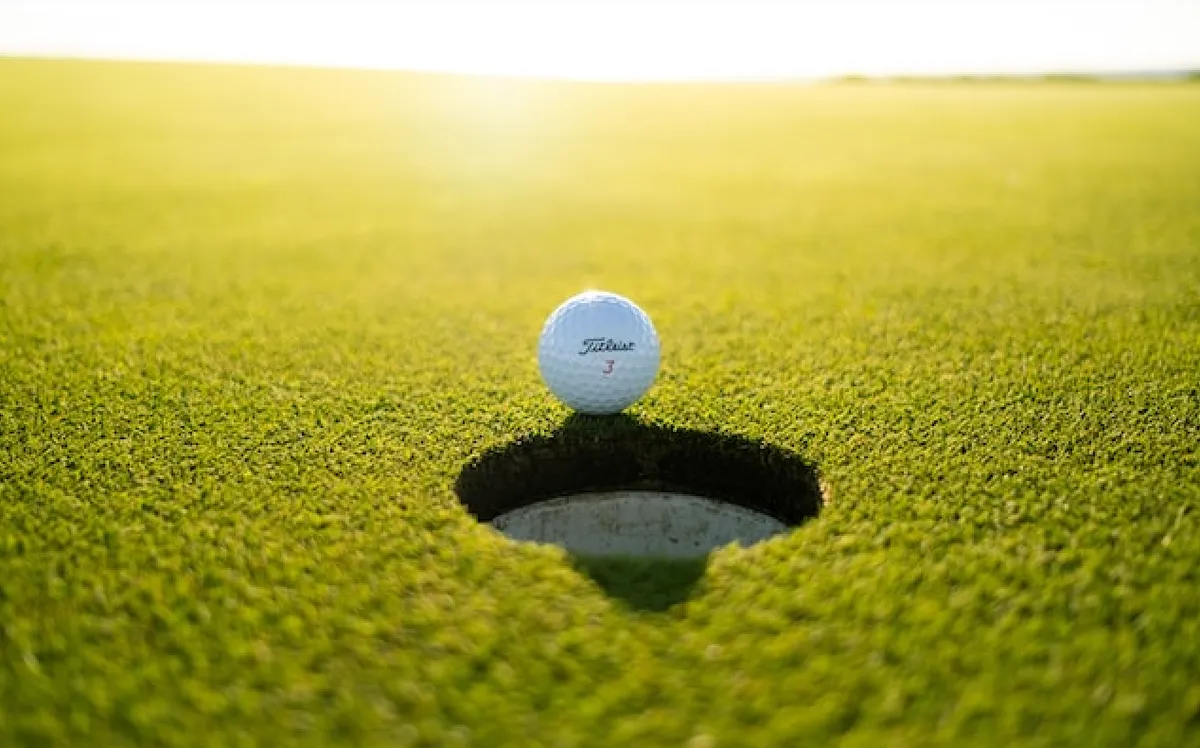 Golfbaan Bergvliet-image