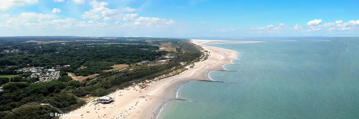 Wist je dat-image