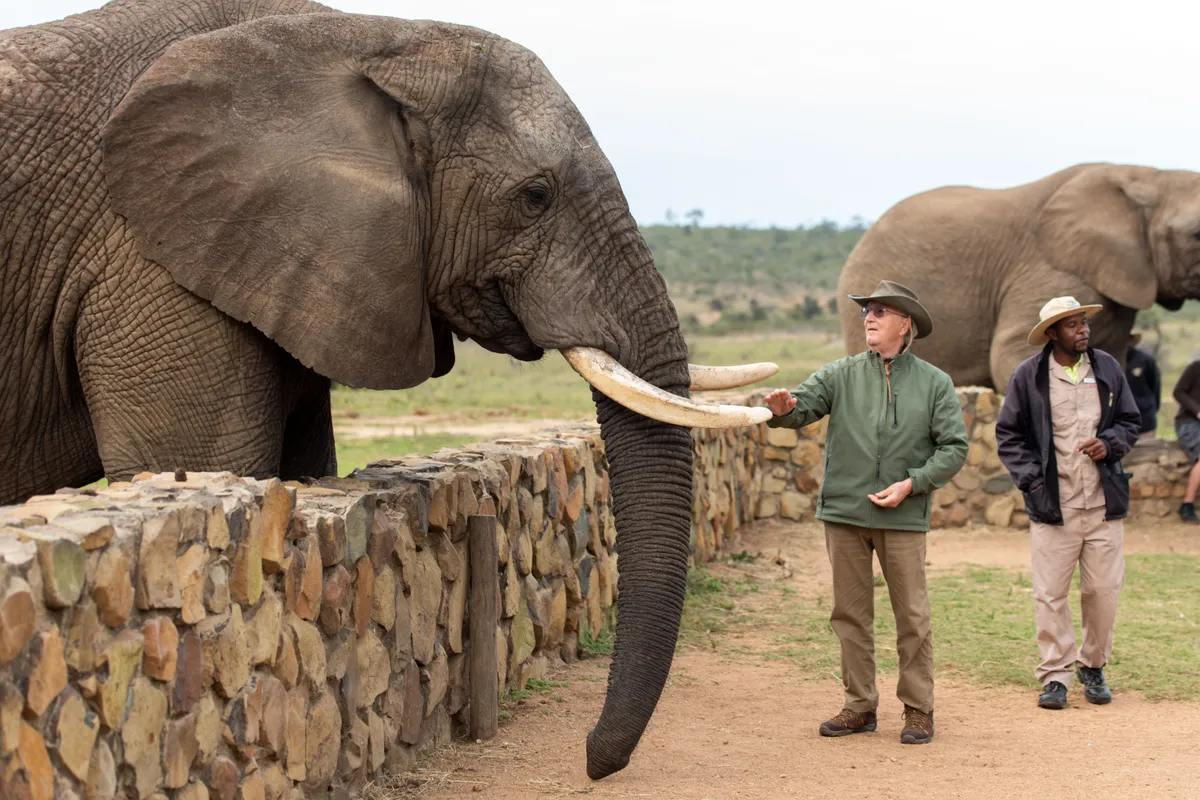 Dagtours & Activiteiten-image