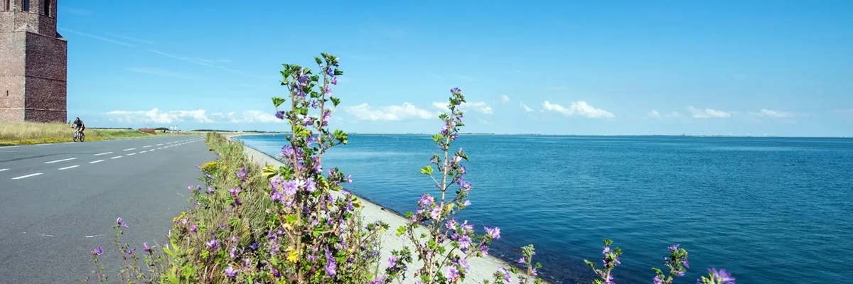 Fietsen en wandelen-image