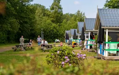 Familiecamping De Vossenburch-image