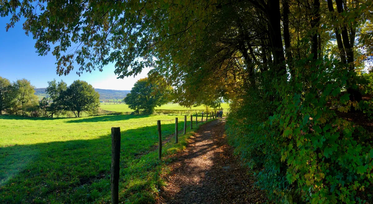 Fiets en wandelroutes-image