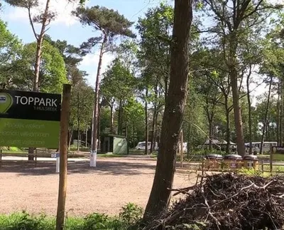Plan Erholungspark-image