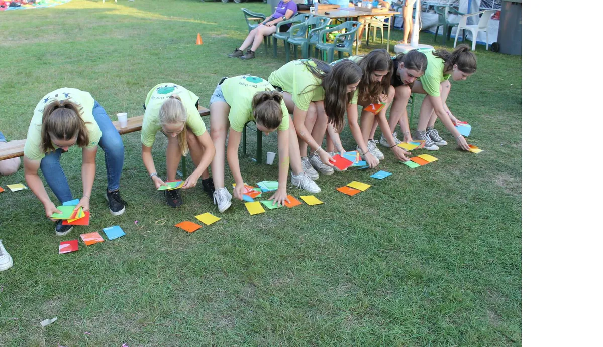 De Alleskunner-image