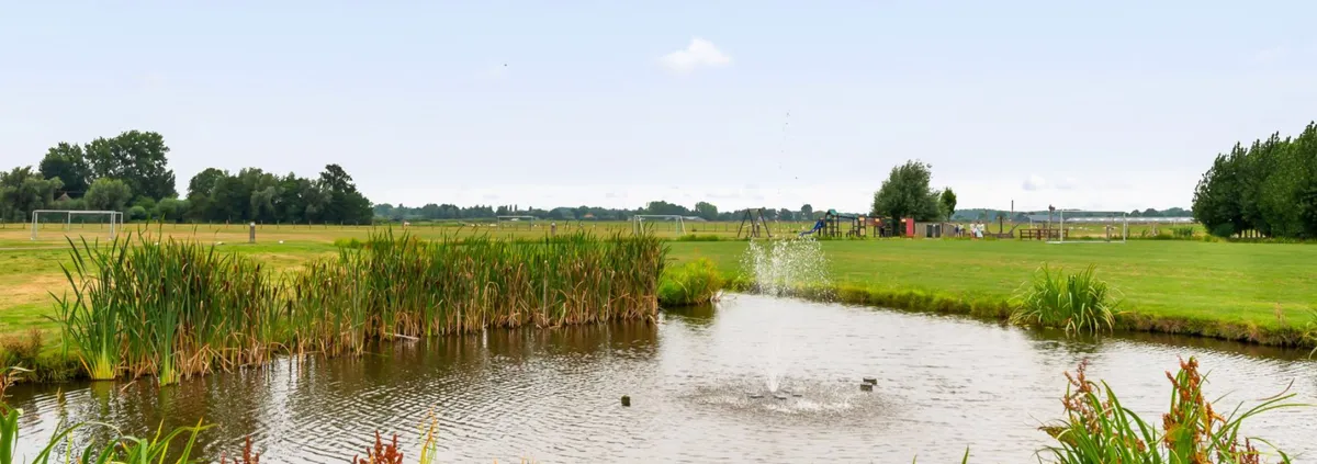 Leuke tips in de omgeving-image