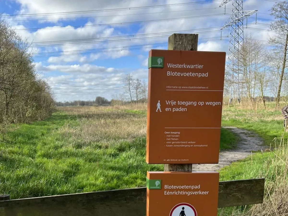 Tips in de omgeving-image