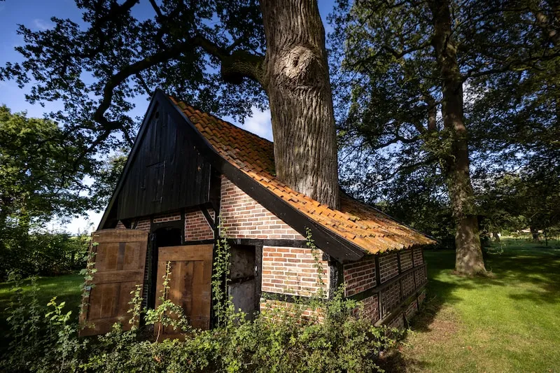 Naar de Dinkelvallei-image