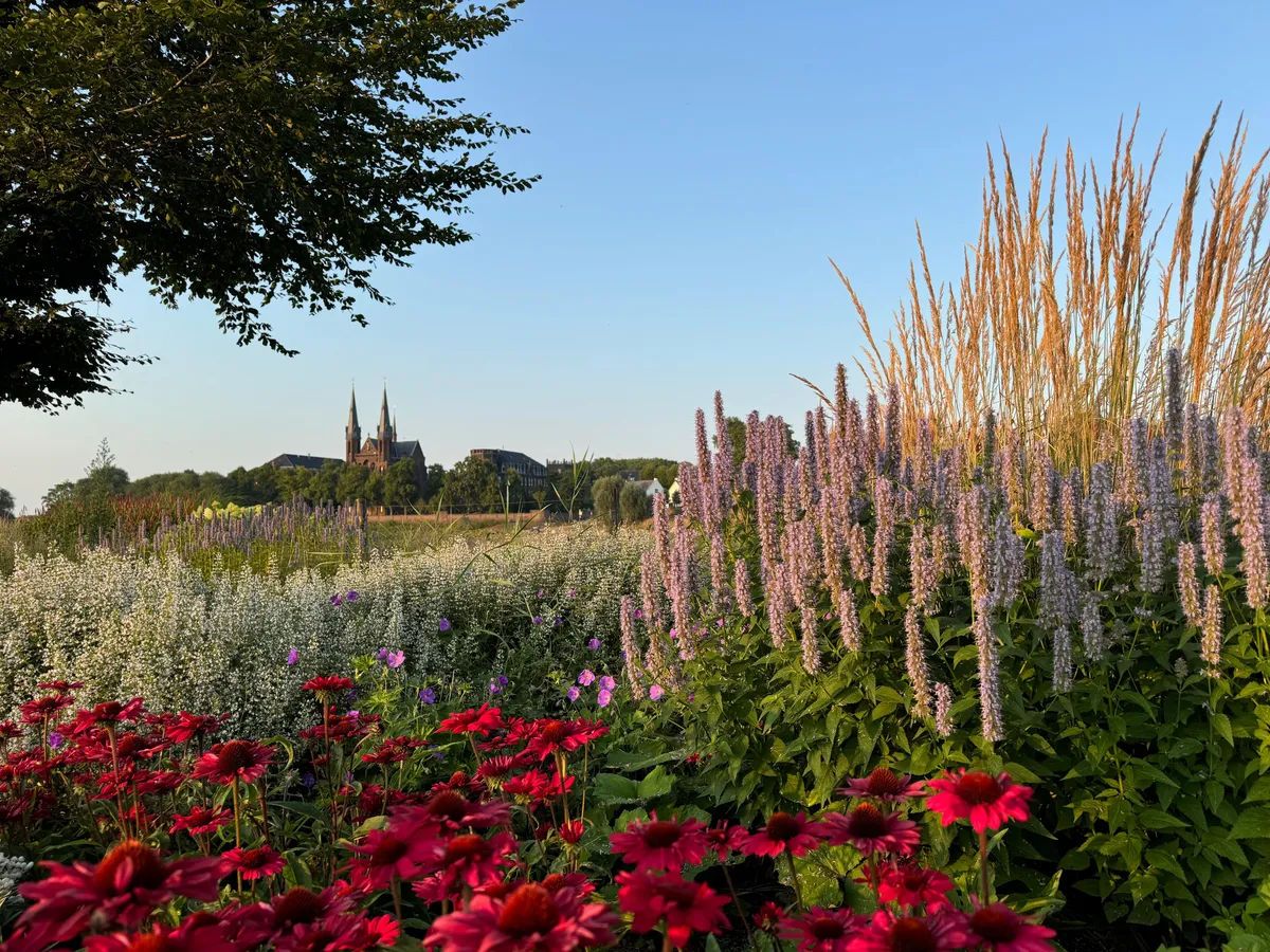 Parkeren en adresgegevens-image