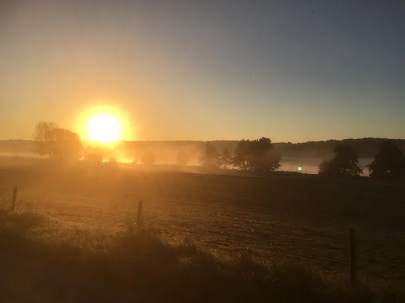 Het weerbericht-image