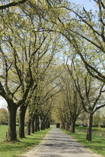 Adresgegevens-image