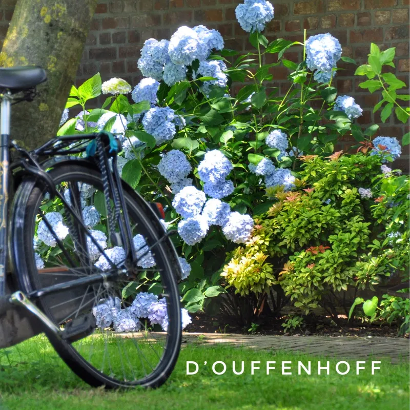 Fietsroutes rondom d'Ouffenhoff-image