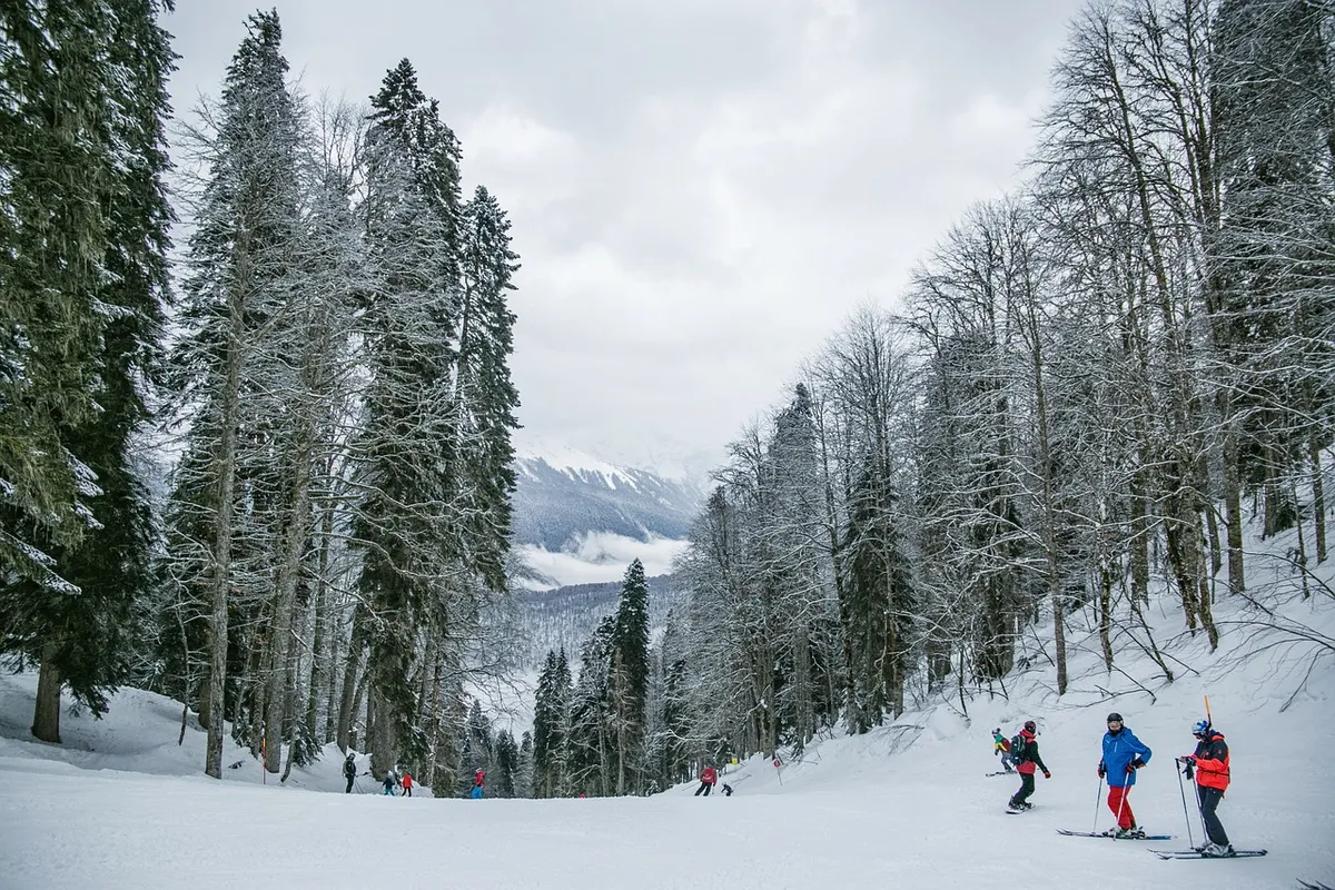 Skiën in de buurt van Särna-image