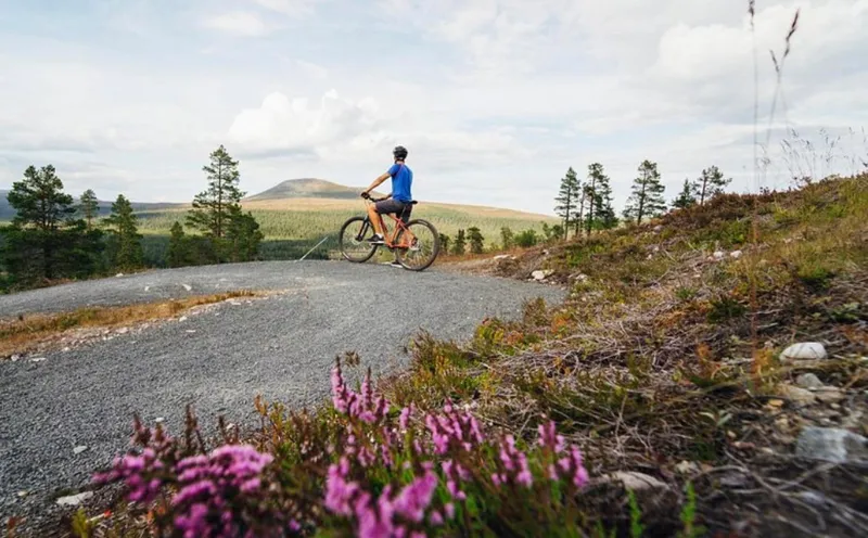 Fietsen en wandelen-image