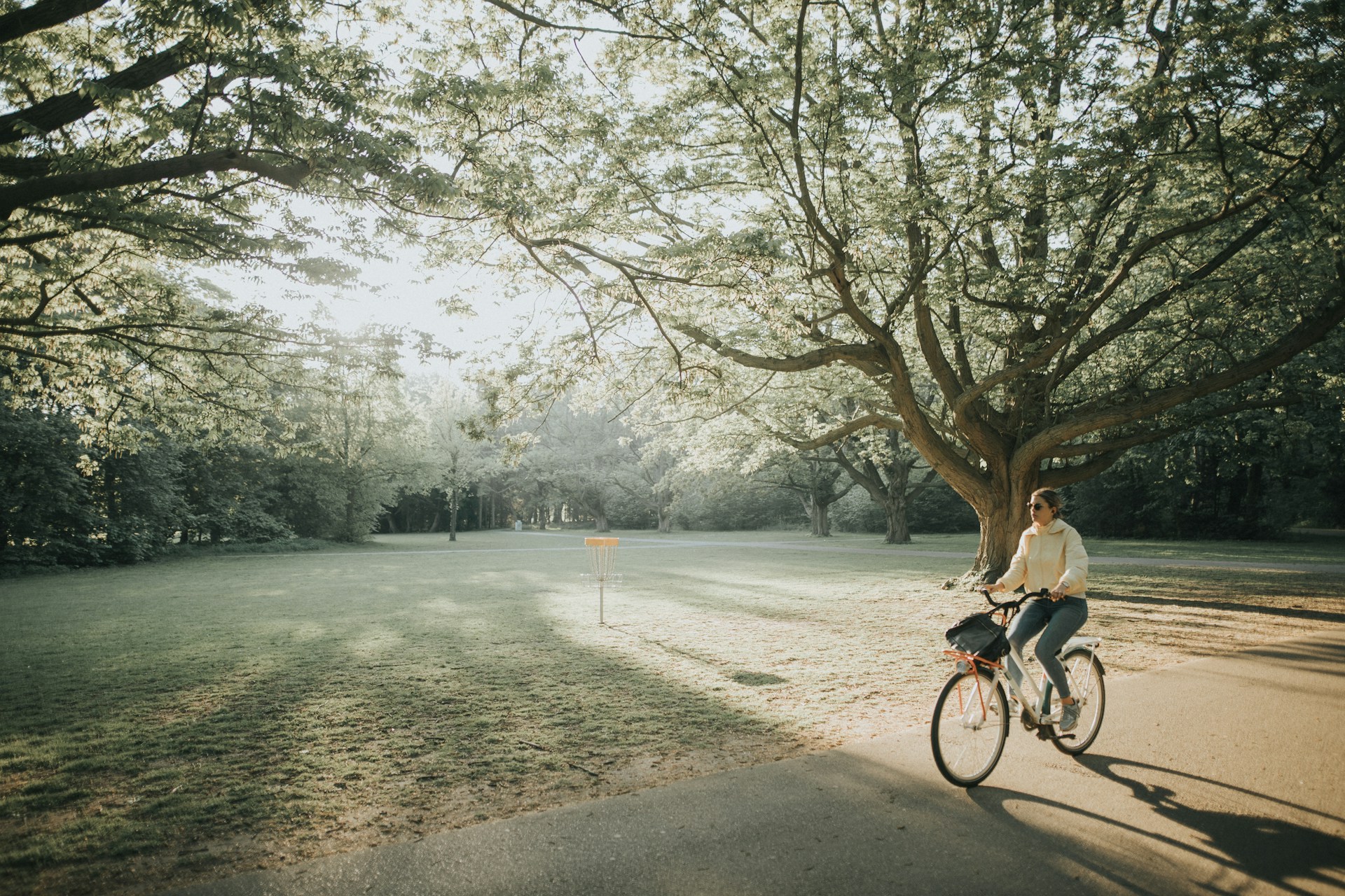 Rent a bike-image