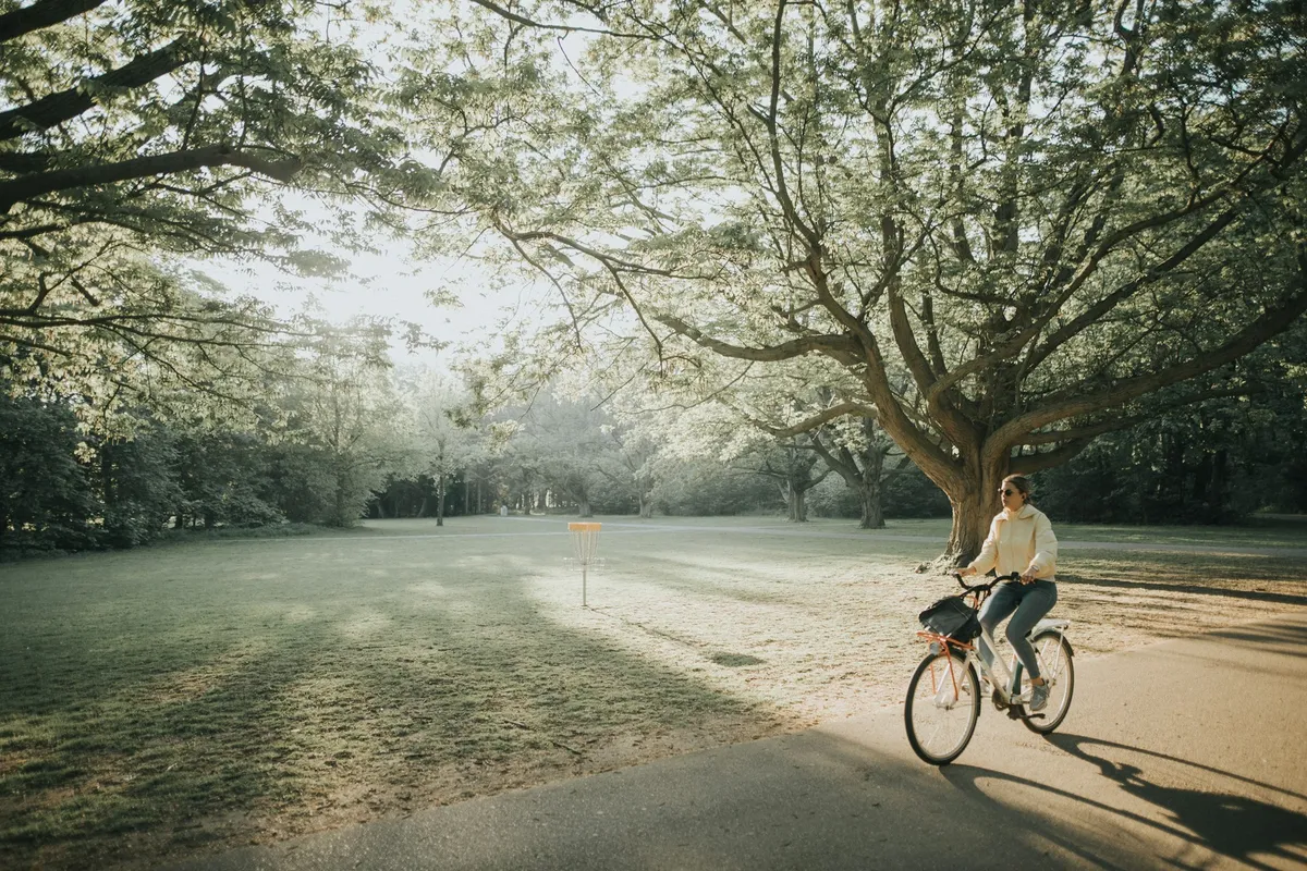 Fiets huren-image