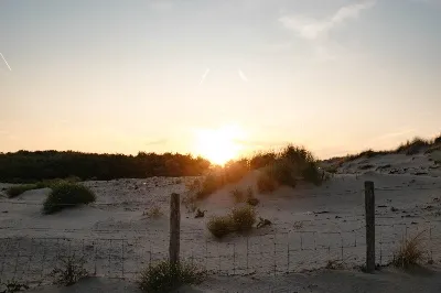 Ontdek de natuur-image