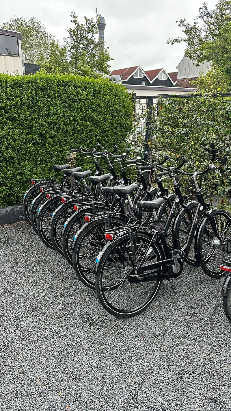Fietsen huren Hofvliet-image