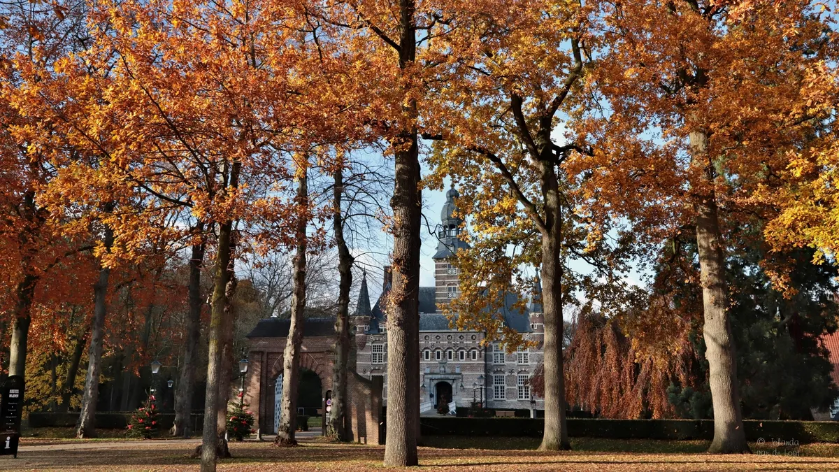   Verrassend Wijchen-image
