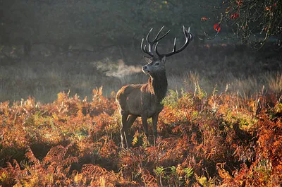Aankomst & vertrek-image