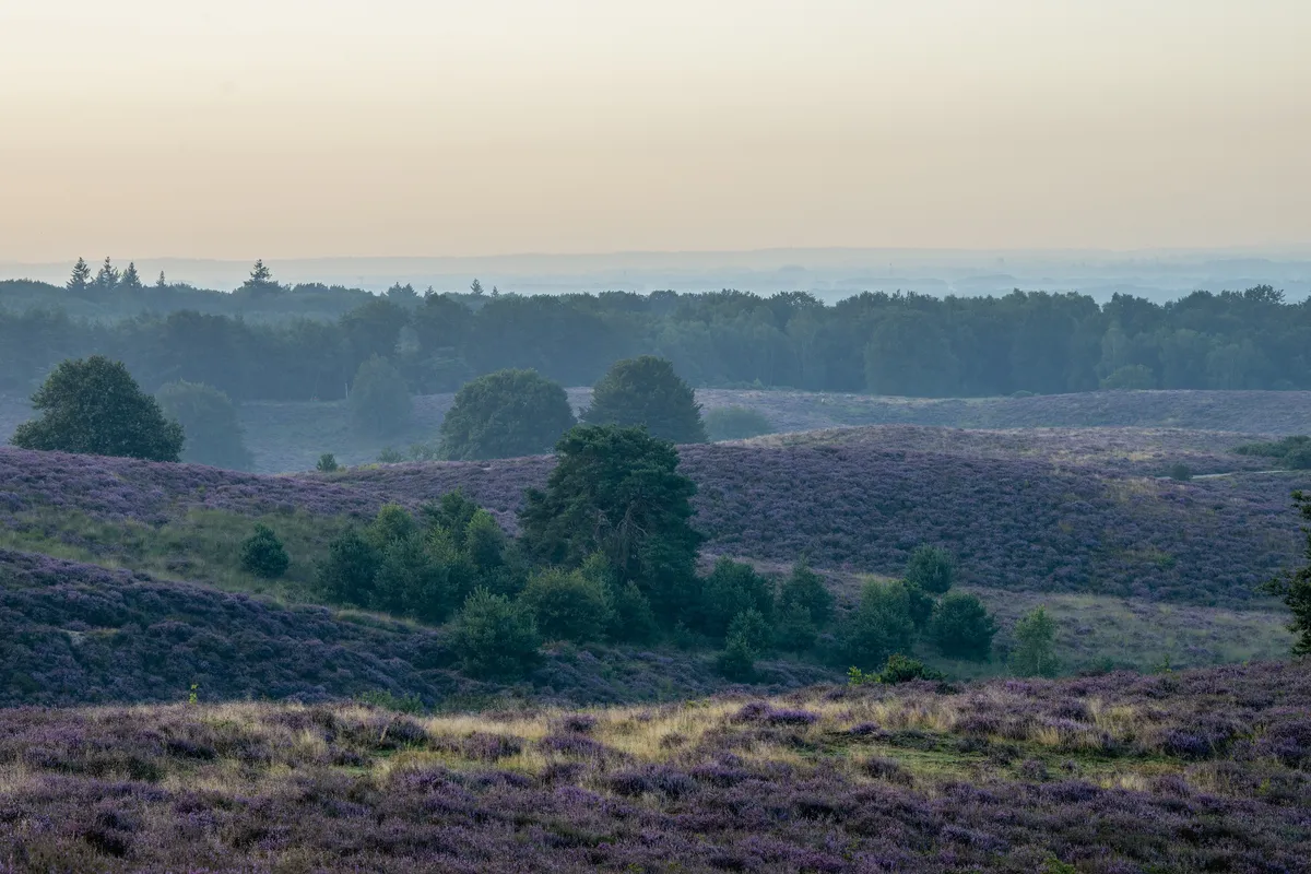 Fiets en wandelroutes-image