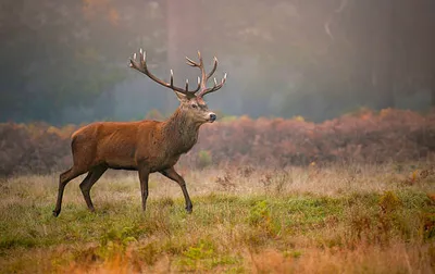 Spelletjes & tijdschriften-image