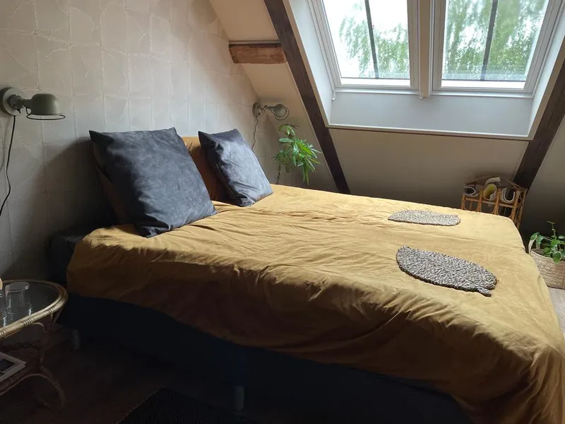 Kamer 1-image