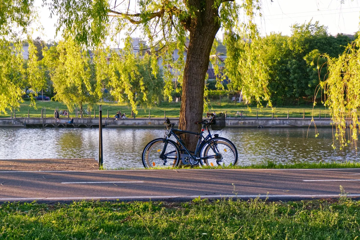 Fiets- en wandelroutes-image