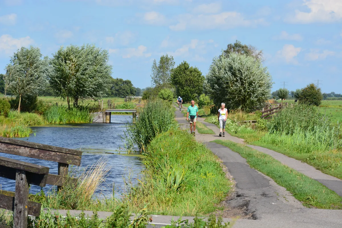 Kaart van de Alblasserwaard -image