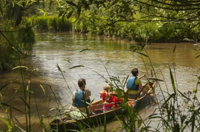 Natuur-image