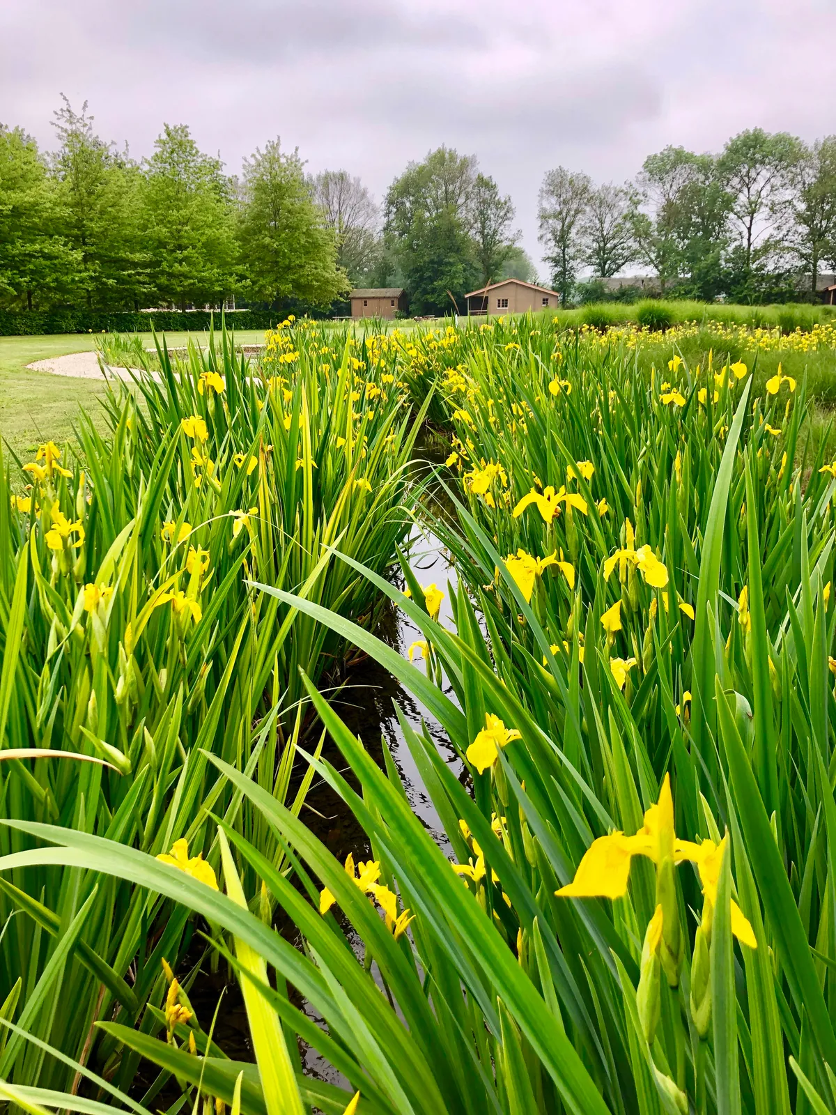 Ansichtkaartje versturen?-image