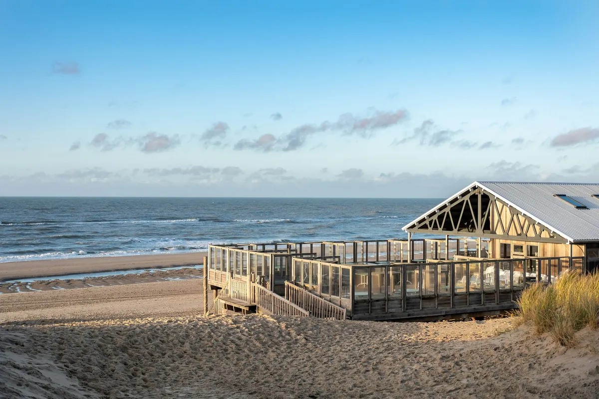 Terras weer?-image