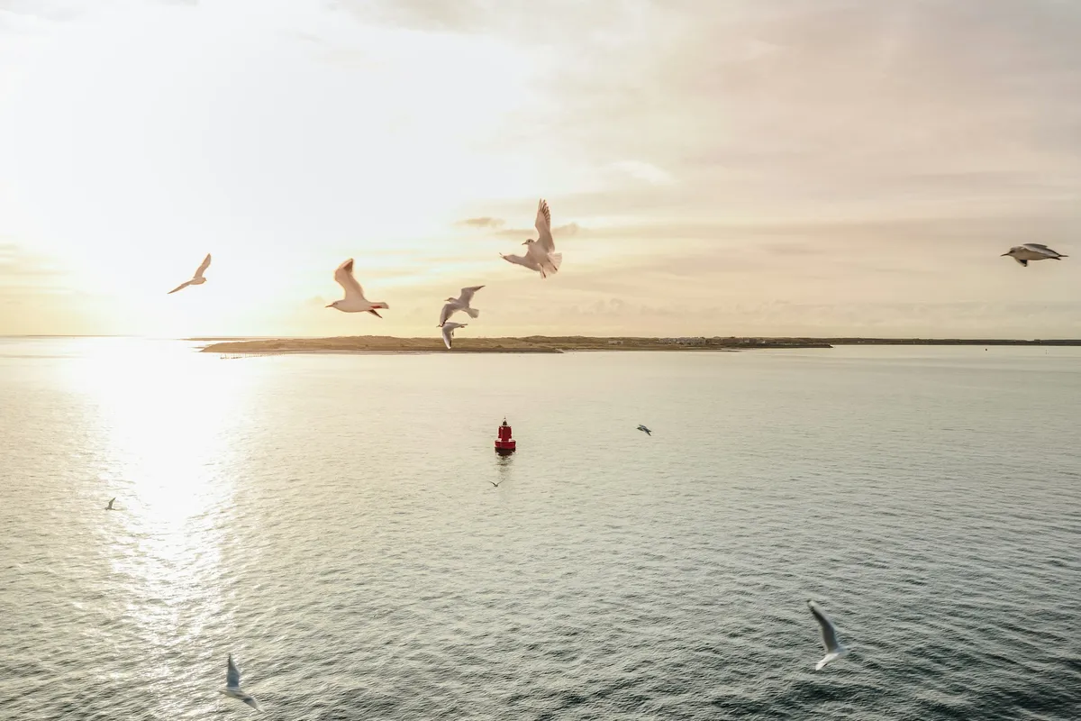 Wanneer schijnt de zon?-image