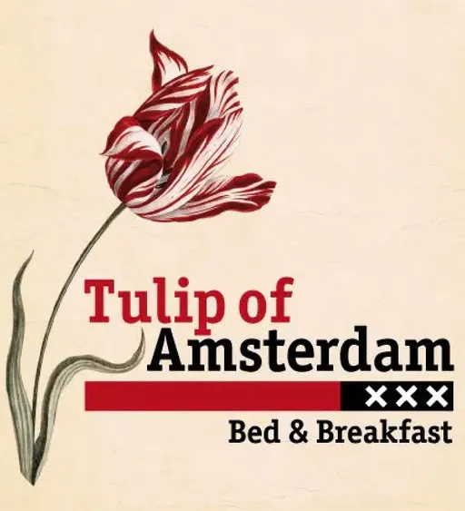 Tulip of Amsterdam logo
