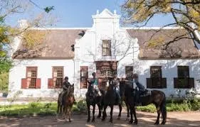 Ontdek de Wijnlanden-image