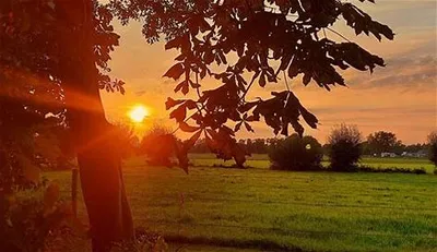 Ontdek de omgeving-image