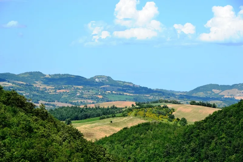 In de omgeving-image