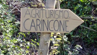 Route naar ons-image