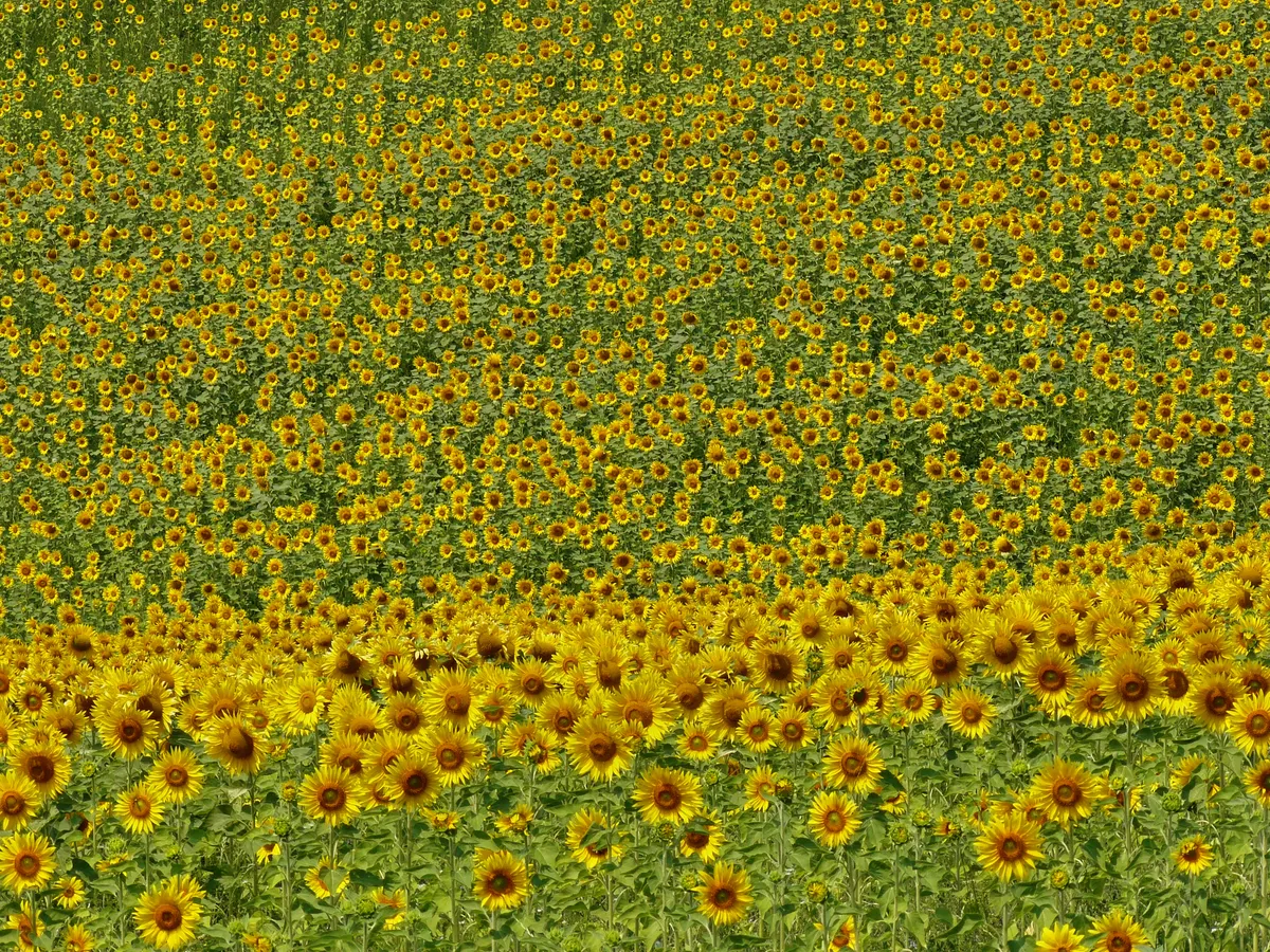 Je eigen route maken-image