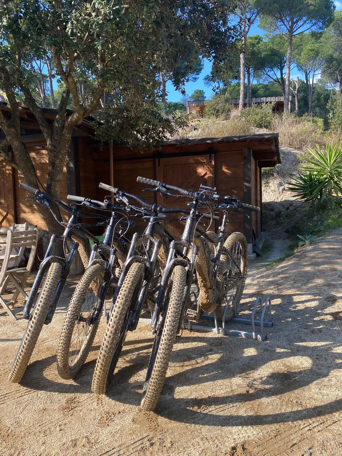 MTB-image