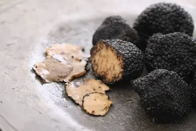 Foie gras & truffel-image