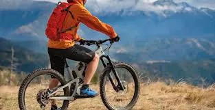Mountainbiking-image