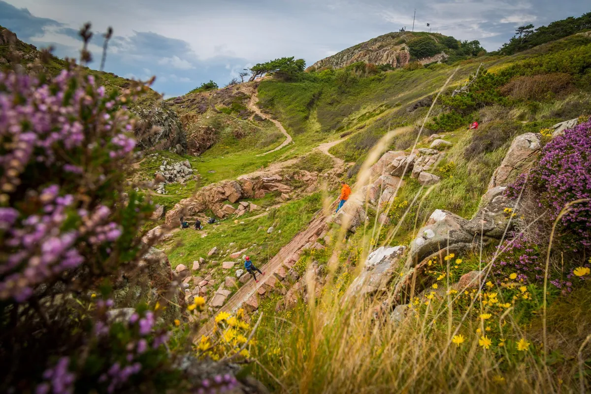 Kullaberg Nat. Reservaat Mölle-image