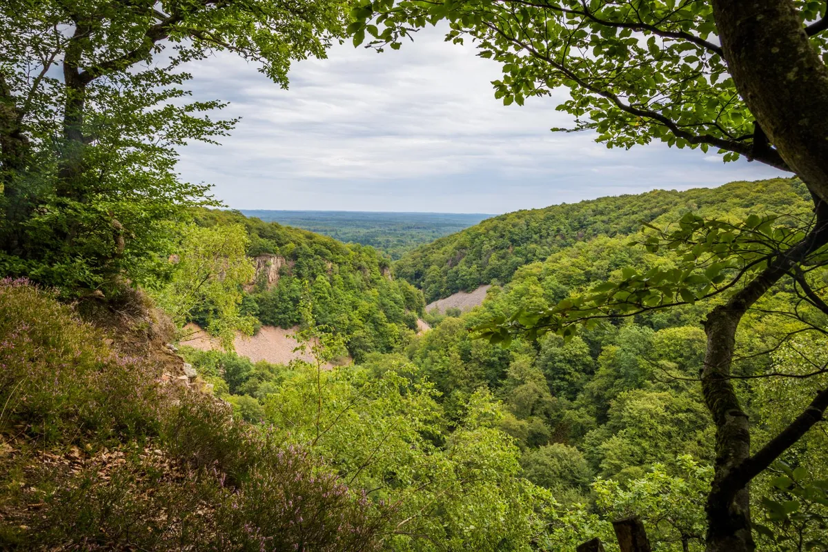 Soderassen National Park-image