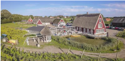 Restaurant Arild's Vineyard-image