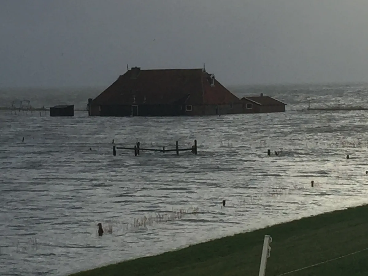 Regen dit zijn onze tips-image